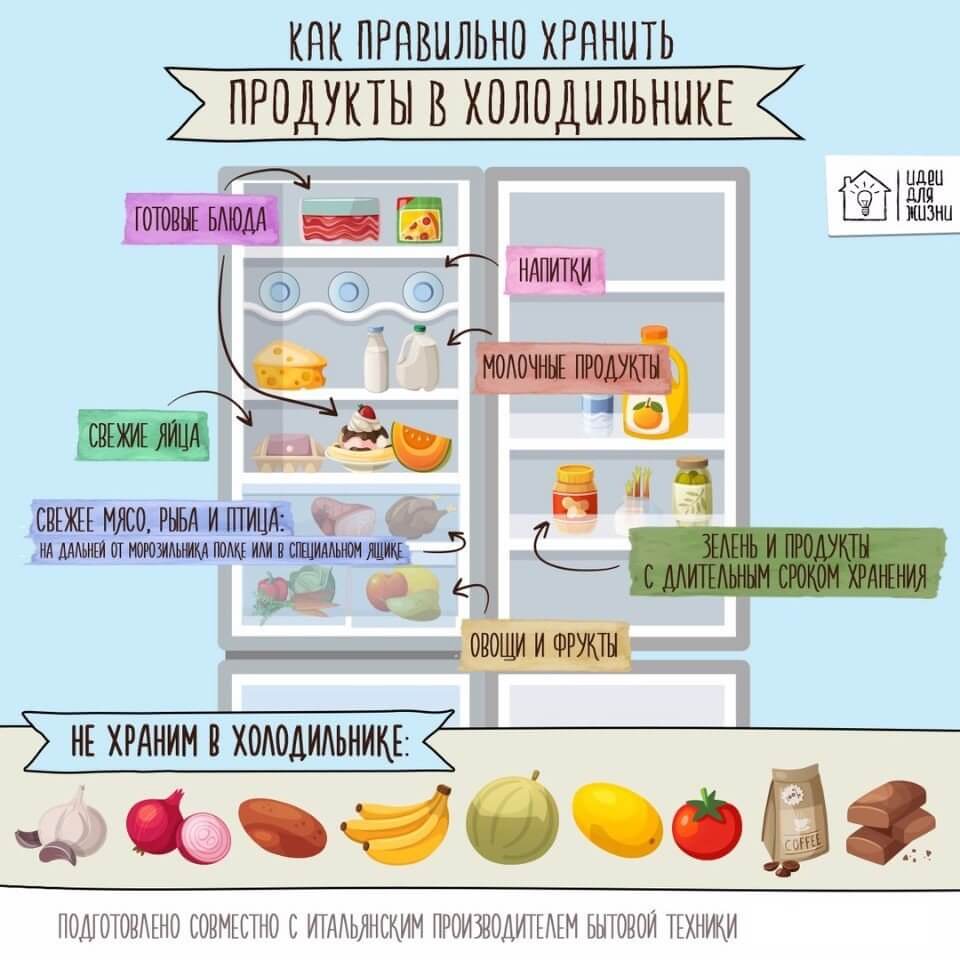 Как правильно хранить продукты, чтобы сохранить здоровье и сэкономить :: инфониак