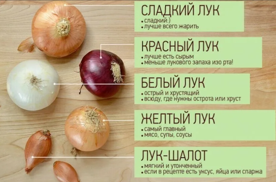 Лук репчатый - состав, калорийность, норма в день, польза