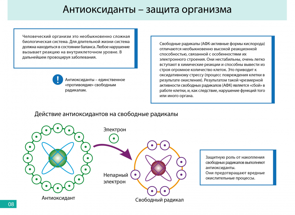 Антиоксиданты что это такое, в каких продуктах содержатся, таблица