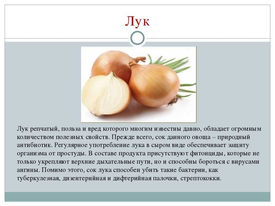 Как замариновать вкусный репчатый лук для шашлыка, еды, салатов – 11 быстрых рецептов
