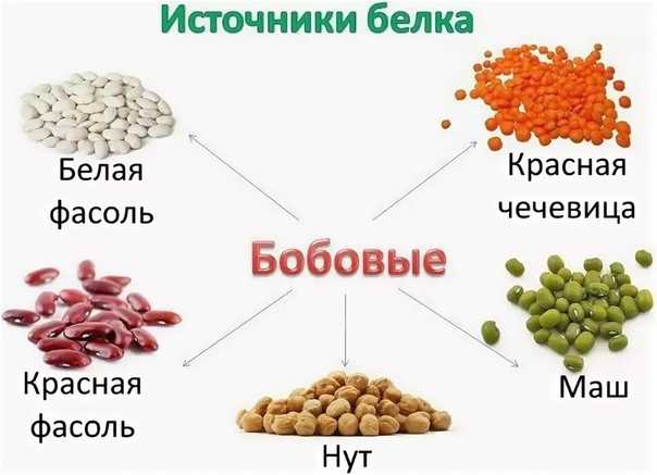 Как готовить бобы: разные виды бобов, разные виды фасоли