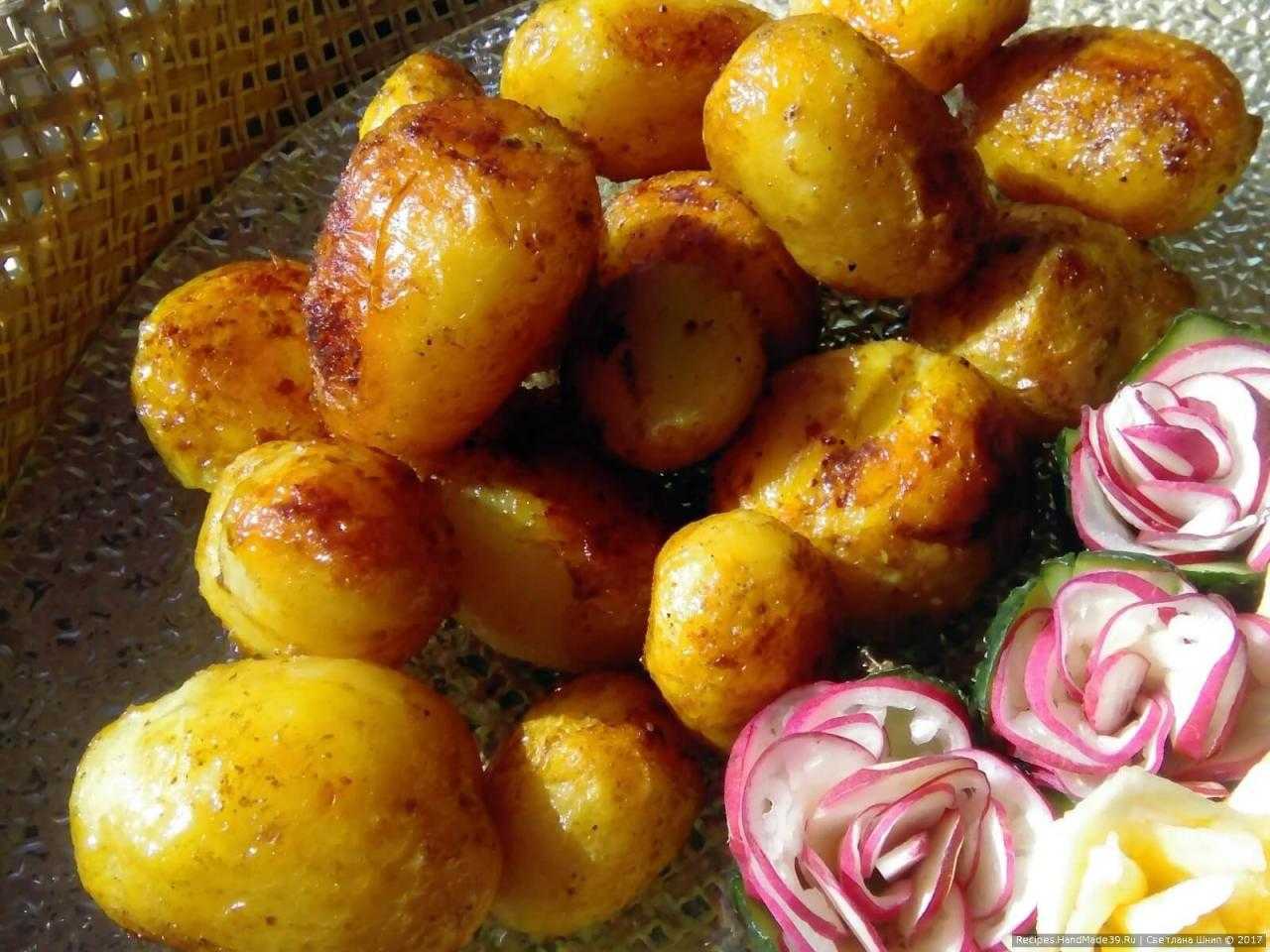 Запекаем в духовке вкусную молодую картошку — бесподобные рецепты