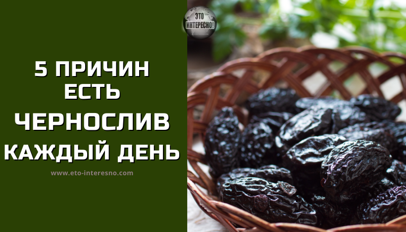 Чернослив: польза, вред, рецепты, как приготовить