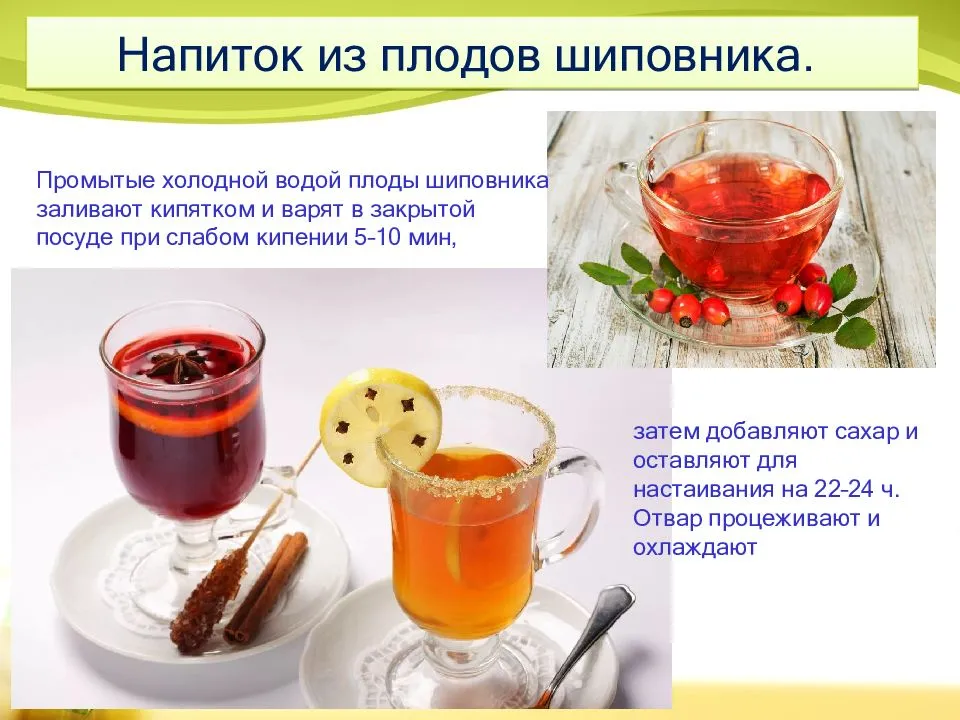 Шиповник – суперфуд красоты и здоровья. полезные свойства. есть ли у него противопоказания