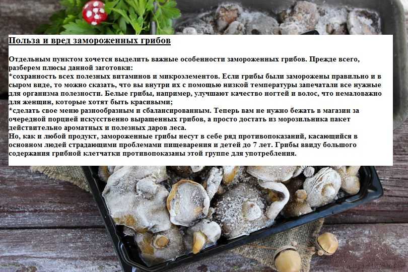 Сколько варить грибы и как это правильно делать? как варить сушеные и замороженные грибы? - автор екатерина данилова - журнал женское мнение