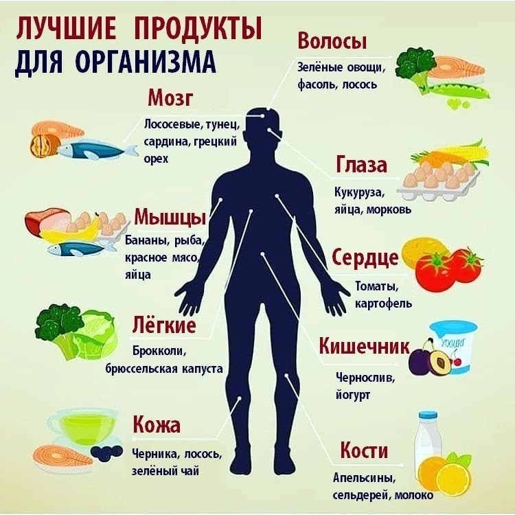 Список из 8 самых полезных ферментированных продуктов