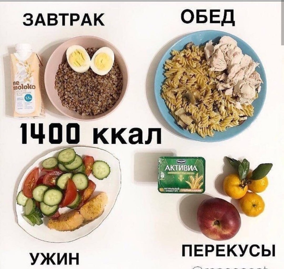 Зожник |   справочник: все дневные рационы и рецепты от зожника