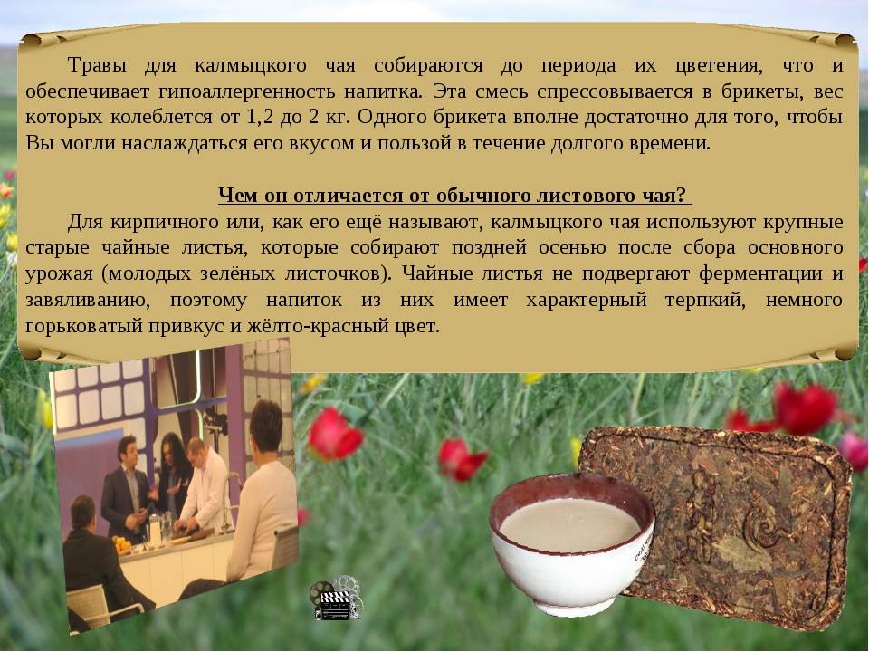 Калмыцкий чай❤️ польза и вред, свойства для здоровья, рецепты
