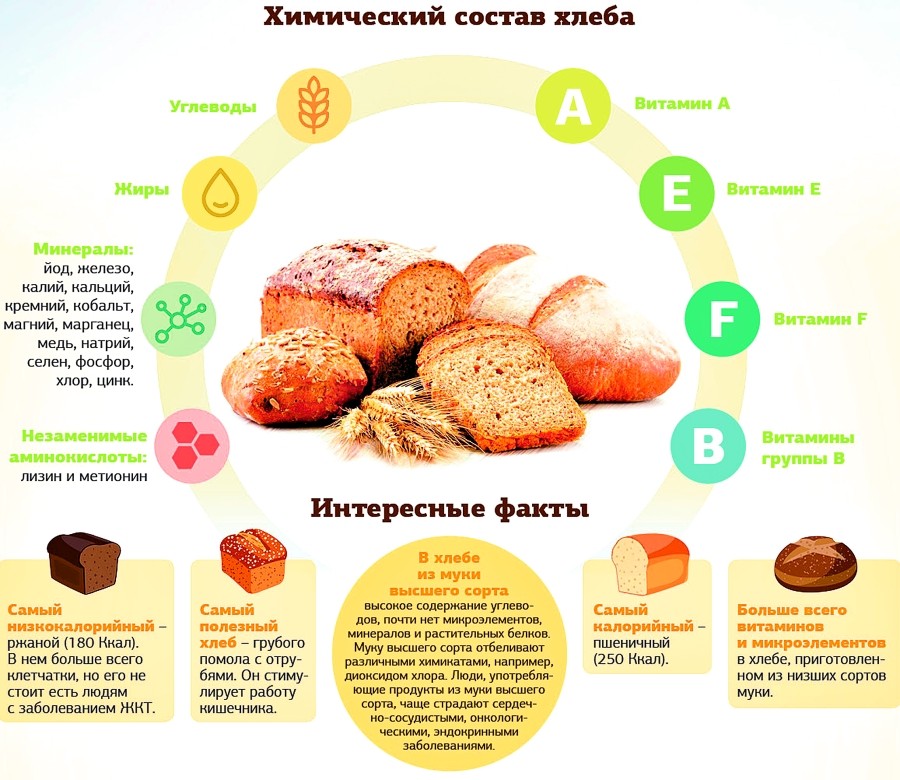 Хлебцы: польза и вред для организма и как их выбрать?