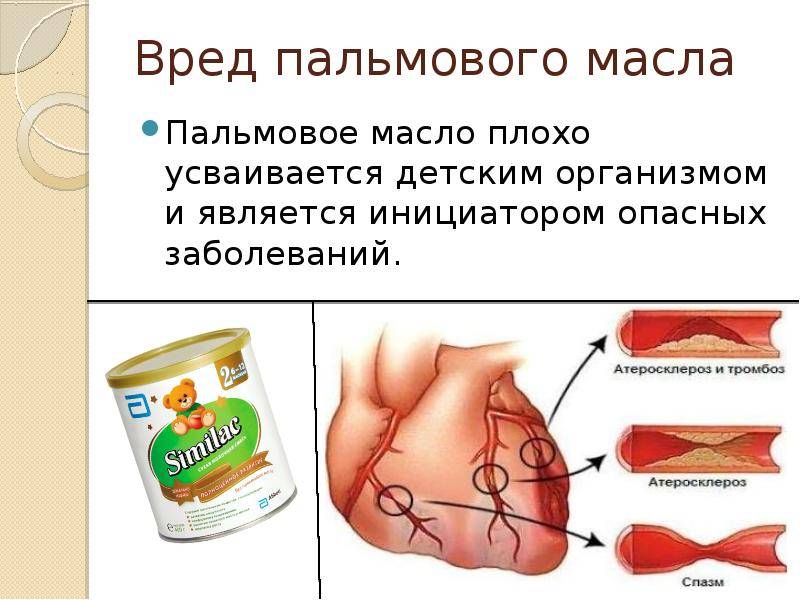 Вред пальмового масла: миф или реальность? | simpleslim
