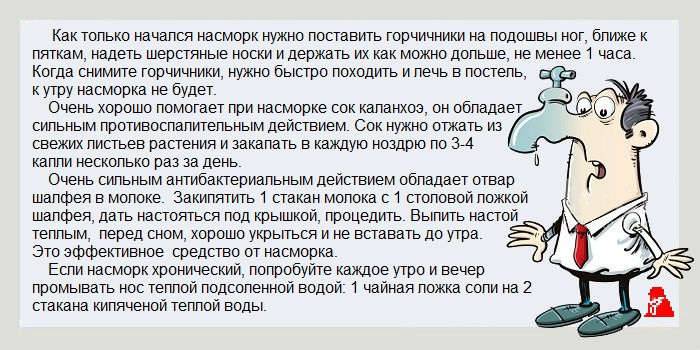 Как лечить гайморит народными методами в домашних условиях (с видео)