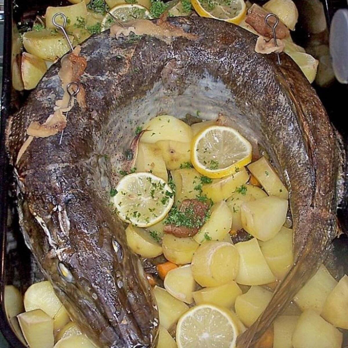 Запеченная щука – рецепт с картофелем и овощами