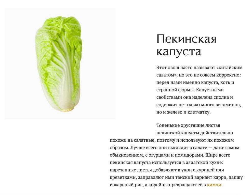Почему не стоит брать пекинскую капусту с темными пятнами на листьях. черные точки на пекинской капусте что это | cadovods.ru
