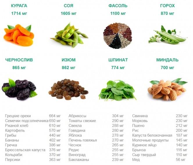 10 продуктов для тех, кто хочет быть активным и сильным