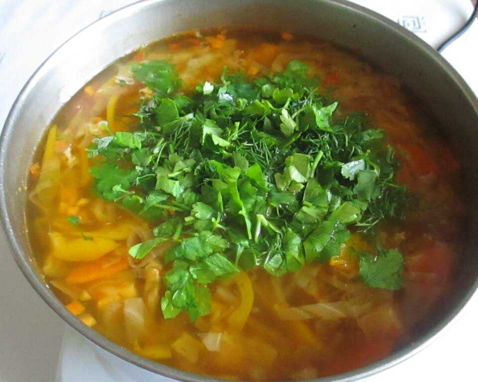 Щи из свежей капусты – очень вкусные рецепты