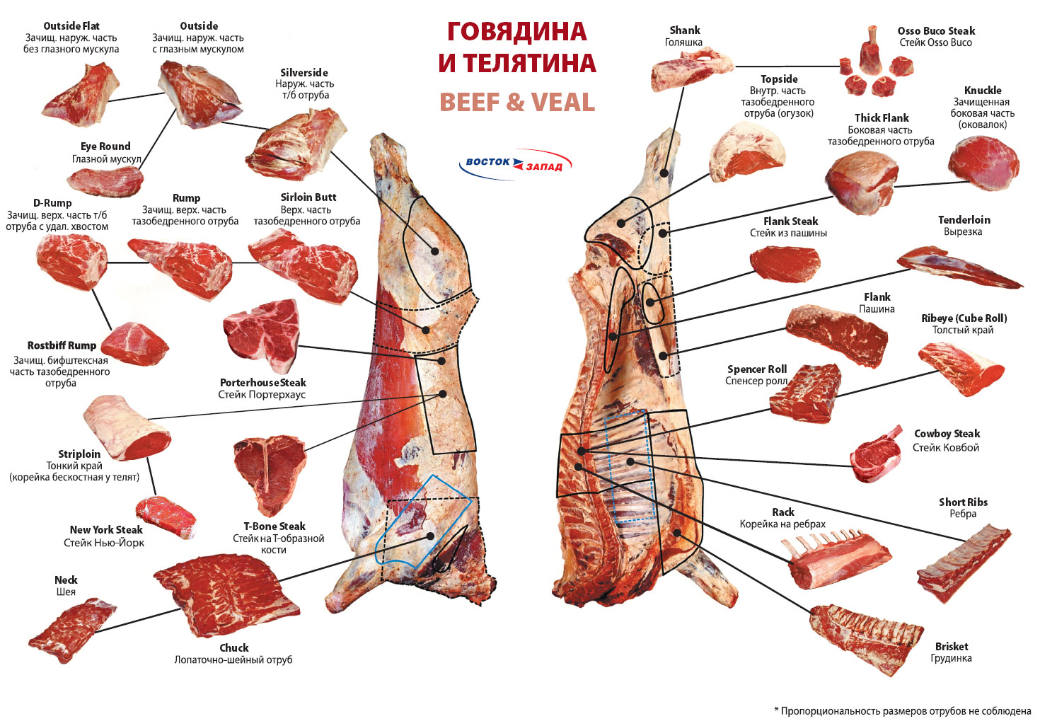 Какое вино лучше подойдет к мясу | wine expertise