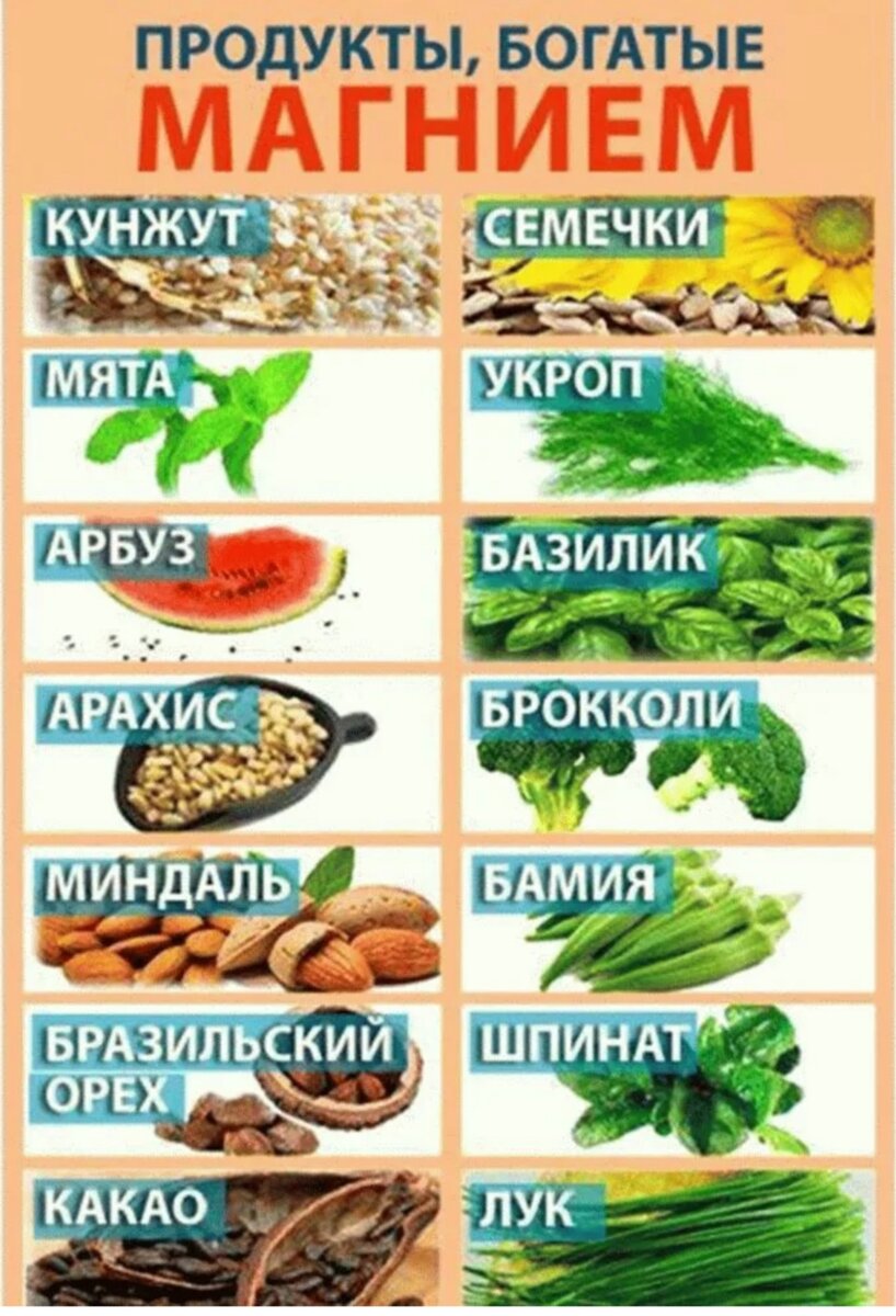 В каких продуктах много магния: список блюд животного и растительного происхождения