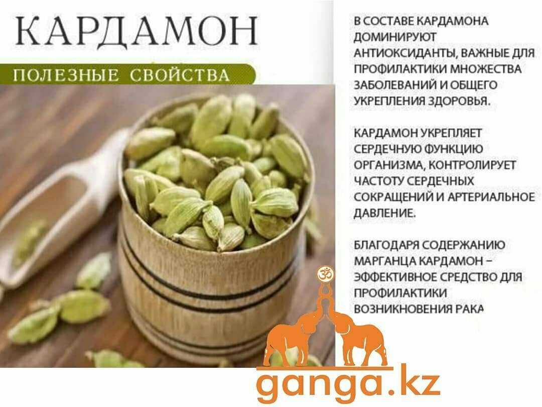 Кардамон - свойства и применение для лечения заболеваний