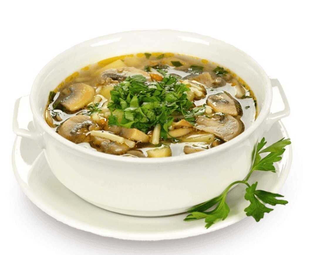 Супы из замороженных опят: рецепты вкусных первых блюд
