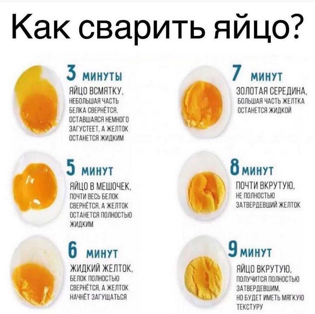 Как правильно варить куриные яйца – 8 способов