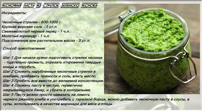 Как приготовить маринованные чесночные стрелки – самые вкусные варианты рецептов
чесночные стрелки маринованные - рецепты на зиму