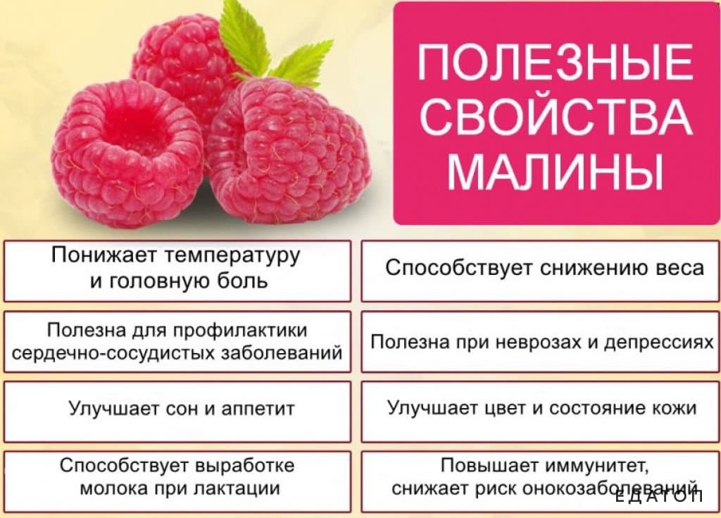 Состав и свойства ягод черной малины как действует ягода на организм Чем полезна черная малина для мужчин и женщин