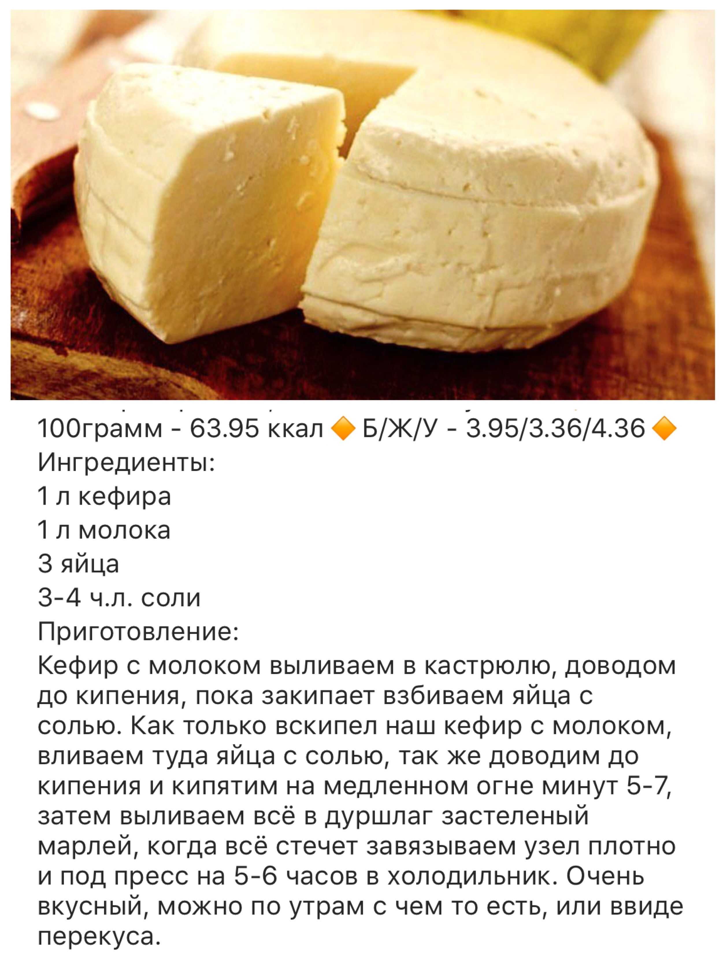 Можно ли жарить адыгейский сыр без панировки. жареный сыр: рецепты приготовления