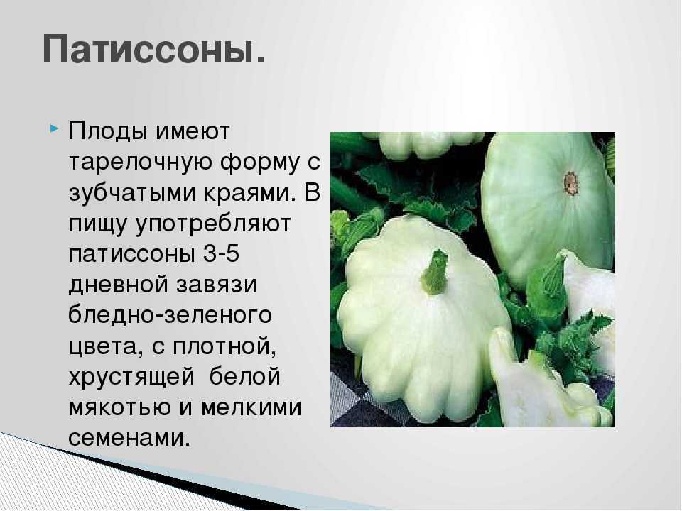 Патиссоны от а до я