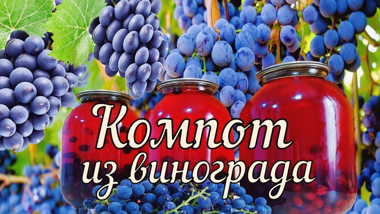 Компот из винограда - пошаговые рецепты приготовления в домашних условиях на зиму с фото
