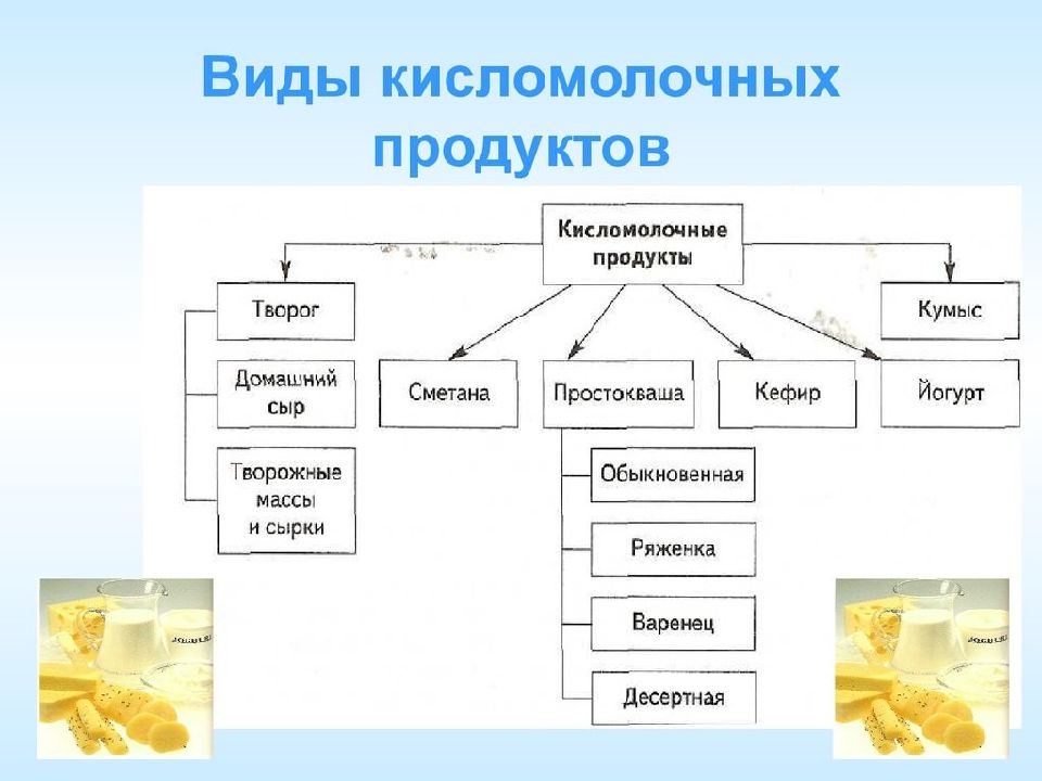 Что полезнее: ряженка, кефир, простокваша, варенец, снежок или катык?