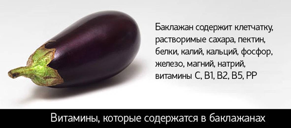 Баклажаны - польза и вред для здоровья организма