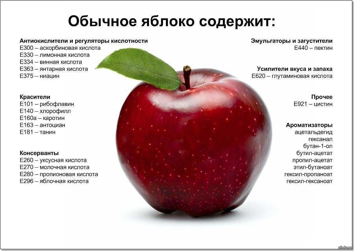 Польза и вред яблок для здоровья человека