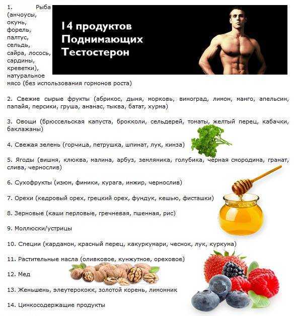 Низкий тестостерон у мужчины – что делать и как повысить