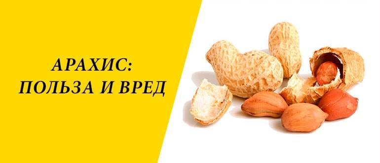 Сырой арахис — полезные свойства и возможный и вред | польза и вред