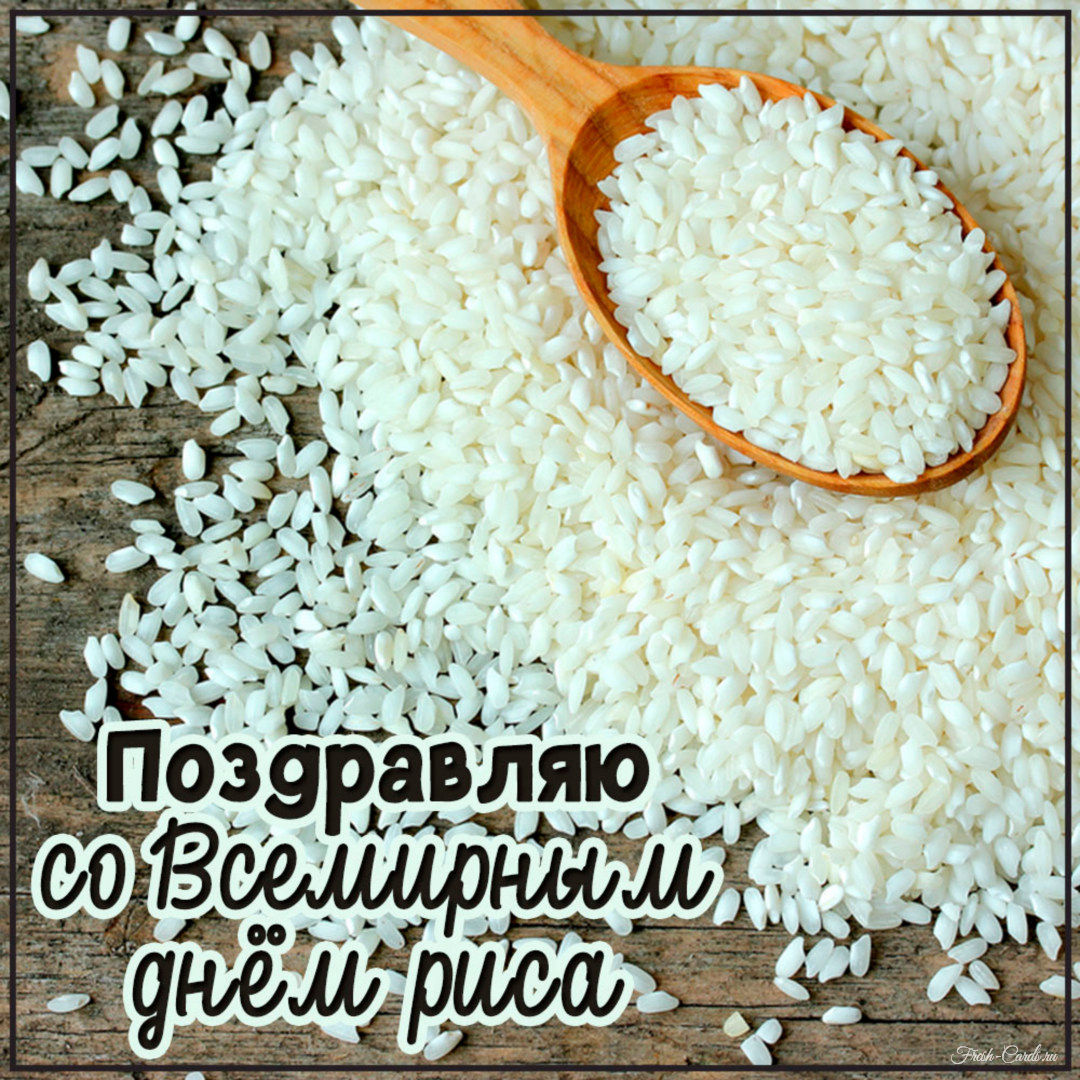 История выращивания риса