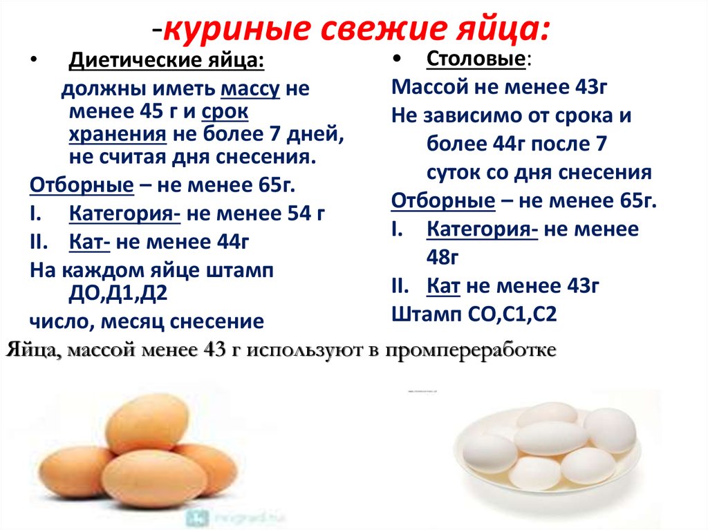 Какие куриные яйца лучше