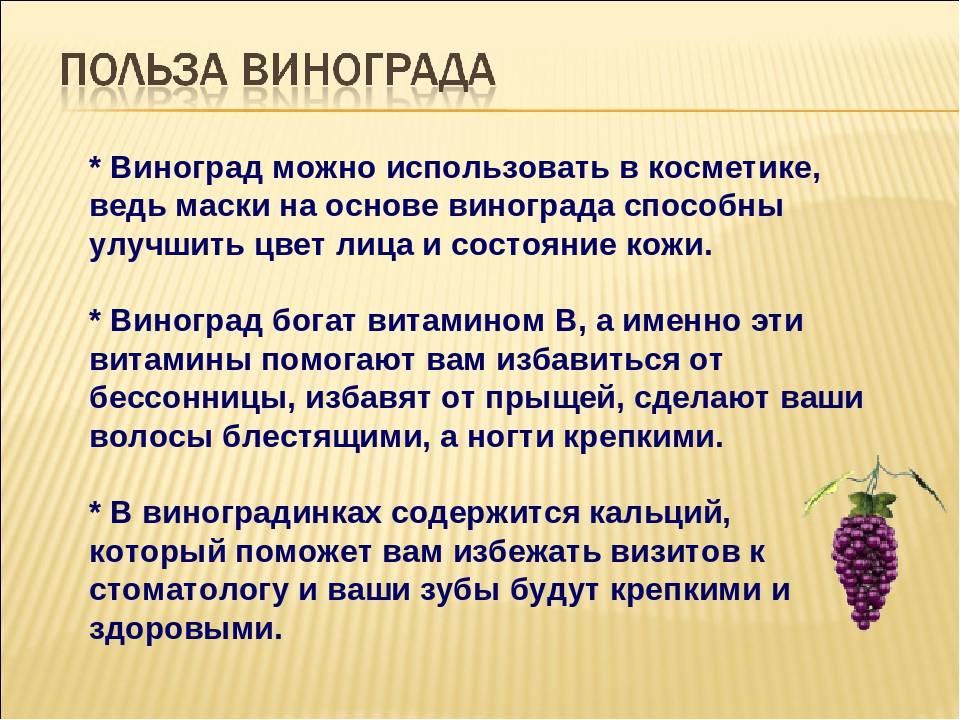 Виноград - польза и вред для организма человека - vinograd-loza