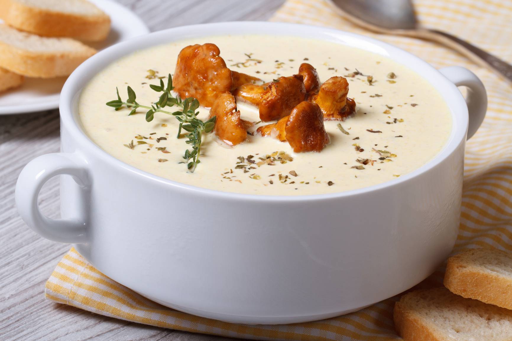 Как сварить грибной суп из свежих грибов? самые вкусные рецепты