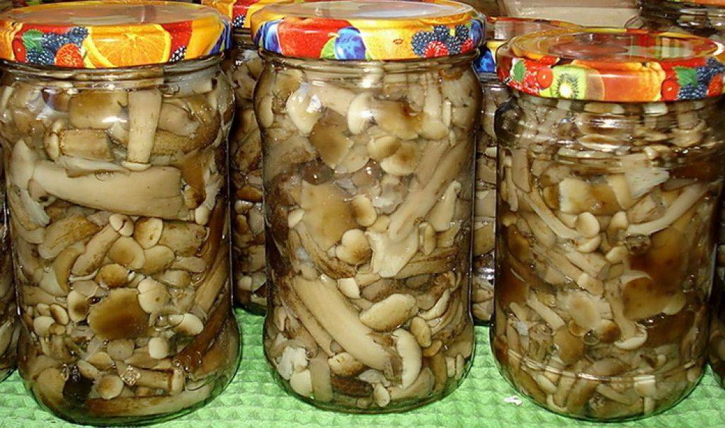 Маринованные опята на зиму: самые вкусные рецепты приготовления