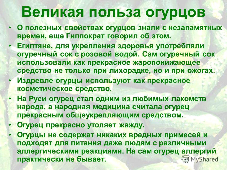 Чем полезен огурец для организма: польза и вред огурцов для человека