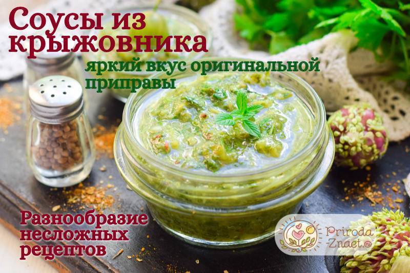 Крыжовник на зиму без варки: лучшие рецепты заготовки