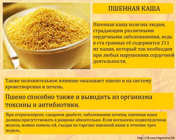 Пшено: польза и вред