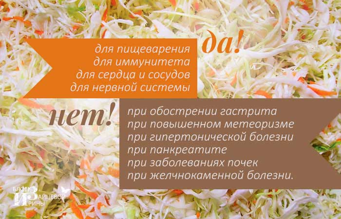 Квашеная капуста быстрого приготовления - 6 рецептов хрустящей и сочной капусты