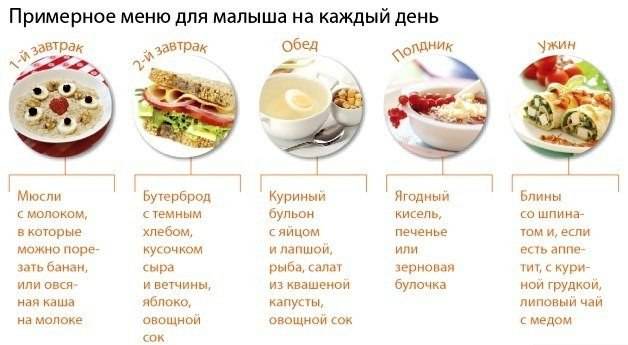 Меню на неделю: 7 вариантов для детского завтрака на каждый день