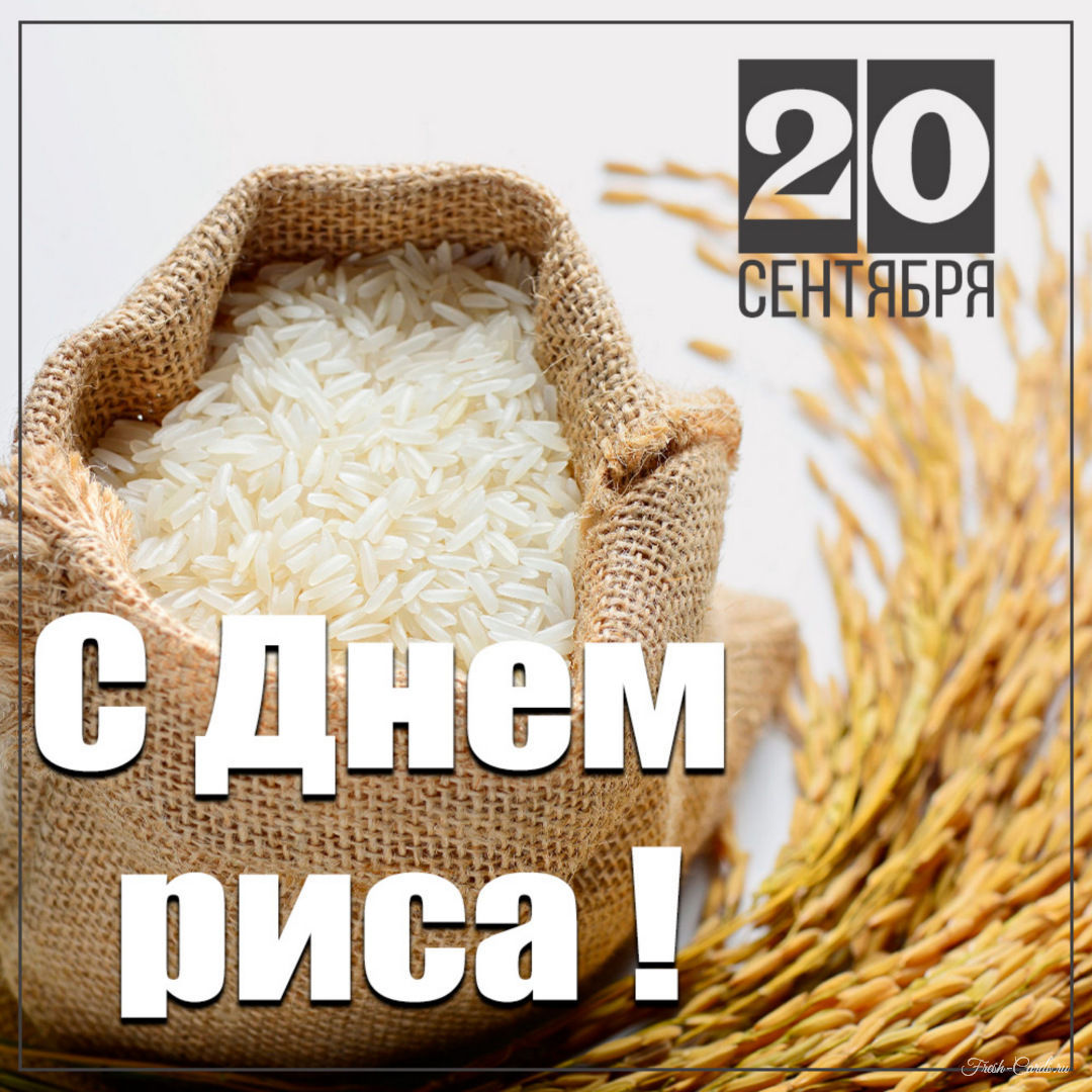 История риса. как используется рис в кулинарии