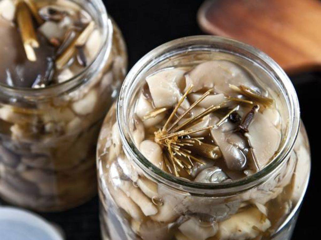 Вкусные маринованные вешенки очень быстрого и простого приготовления
