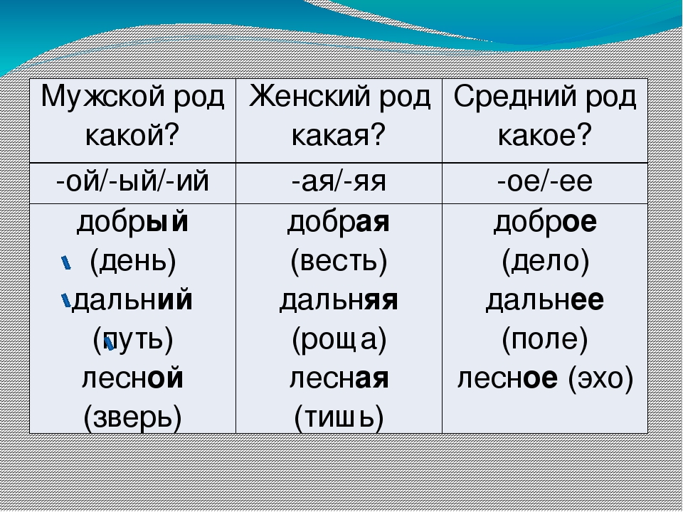 Манго авокадо род существительного