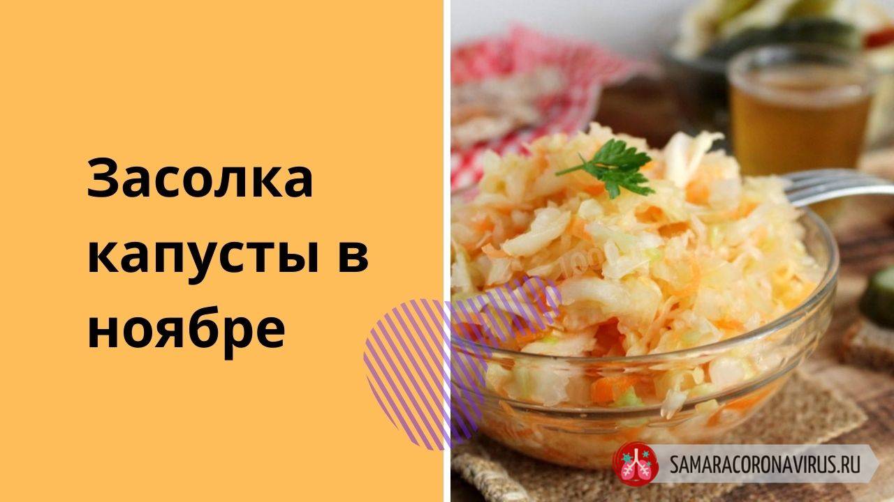 Когда солить капусту в октябре 2024 года – благоприятные дни по лунному календарю в таблице по дням