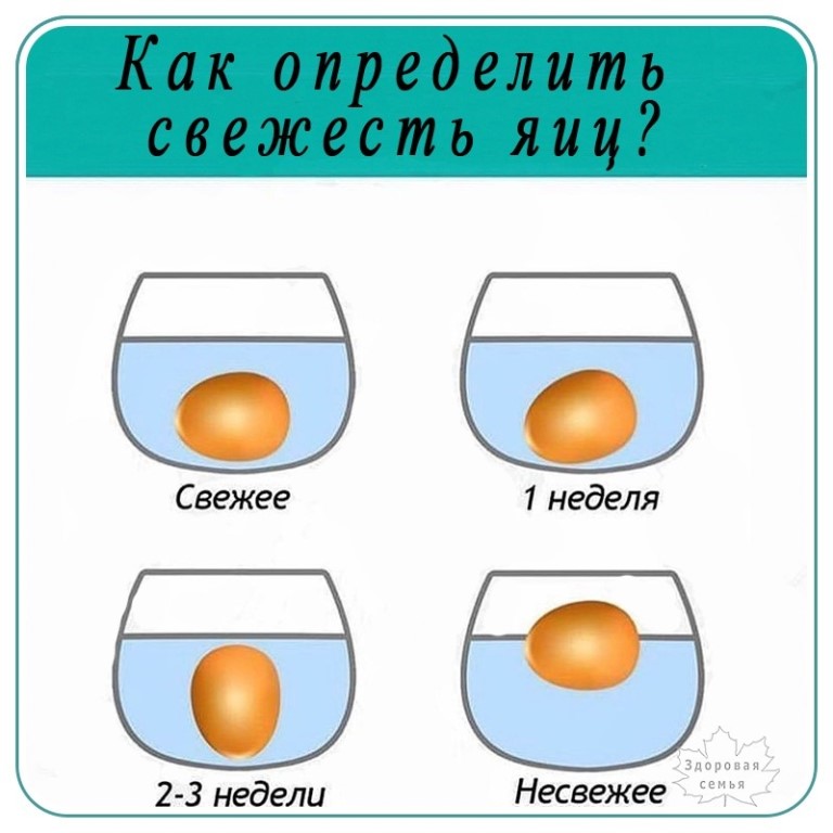 Как отделить белок от желтка яйца