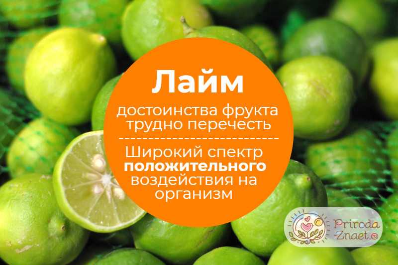 Польза и вред лайма для организма человека – хорошие привычки
